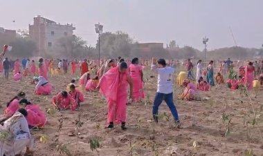 चीन का रिकॉर्ड ध्वस्त कर काशी ने रचा नया वैश्विक कीर्तिमान, एक घंटे में रोपे 251446 पौधे
