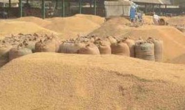 यूपी में लक्ष्य से अधिक धान खरीद, किसानों को 14,886 करोड़ रुपये का भुगतान