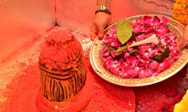 श्री काशी विश्वनाथ धाम में शिवभक्तों ने खेली फूलों की होली,भक्तों में उल्लास,गर्भगृह में चढ़ा गुलाल