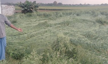 आकाशीय बिजली की चपेट में आया किसान,झुलसा