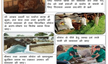 गर्मी में गौवंश को लू से बचाने के लिए पशुपालन विभाग ने जारी किए निर्देश