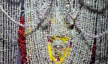 पंचमी पर शीतला धाम में आस्था का ज्वार, तड़के खुले कपाट—टूटे सारे रिकॉर्ड