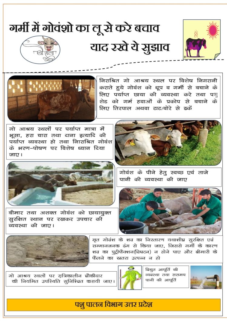 गर्मी में गौवंश को लू से बचाने के लिए पशुपालन विभाग ने जारी किए निर्देश