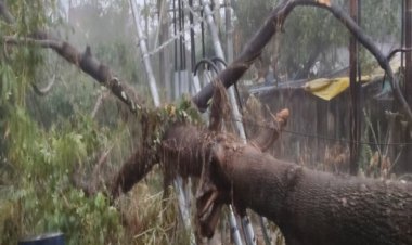 तूफान ने बुझा दी कानपुर की रोशनी, केस्को के लिए बनी बड़ी चुनौती