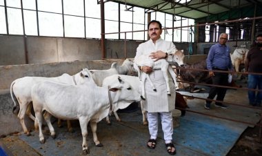 गौ-सेवा ही परम धर्म : जिला पंचायत अध्यक्ष ने पशु संरक्षण का दिया संदेश
