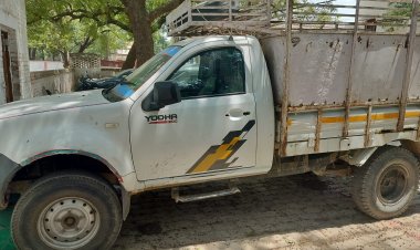 पशु तस्कर चार गौवंश के साथ गिरफ्तार, पिकअप बरामद