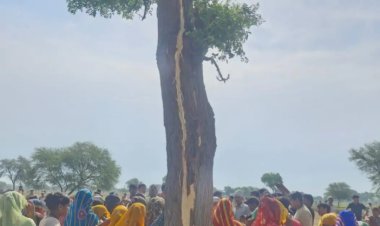 पेड़ पर गिरी आकाशीय बिजली की चपेट में आने से ट्रैक्टर चालक की मौत