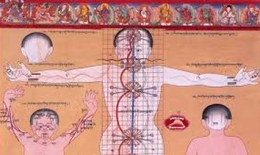 योगी सरकार 2500 साल पुरानी पारंपरिक चिकित्सा पद्धति को देगी नई पहचान