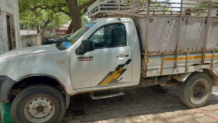 पशु तस्कर चार गौवंश के साथ गिरफ्तार, पिकअप बरामद