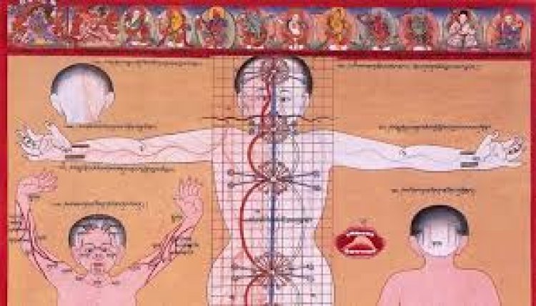 योगी सरकार 2500 साल पुरानी पारंपरिक चिकित्सा पद्धति को देगी नई पहचान