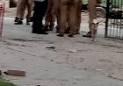 प्रयागराज में प्रॉपर्टी डीलर की गोली मारकर हत्या