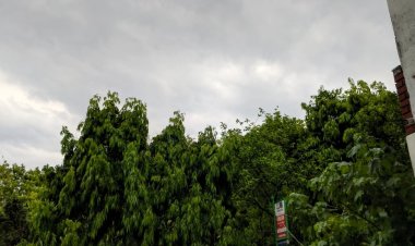 उत्तर प्रदेश में तेज आंधी-पानी से जनजीवन प्रभावित, कई जगह पेड़ उखडे़ और ओले भी गिरे