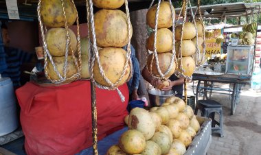 गर्मी के दिनों में बेल के रस का विशेष महत्व, शुगर रोगियों के लिए लाभकारी