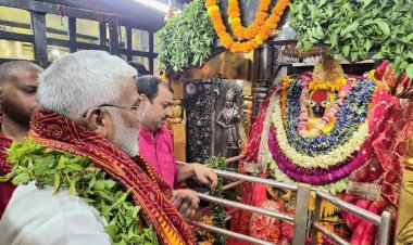कैबिनेट मंत्री स्वतंत्र देव सिंह ने मां विंध्यवासिनी का किया दर्शन-पूजन