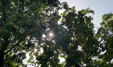 यूपी मौसम अलर्ट: भीषण गर्मी से मिलेगी बड़ी राहत, 100kmph की आंधी और ओलावृष्टि का रेड अलर्ट