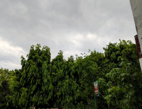 उत्तर प्रदेश में तेज आंधी-पानी से जनजीवन प्रभावित, कई जगह पेड़ उखडे़ और ओले भी गिरे