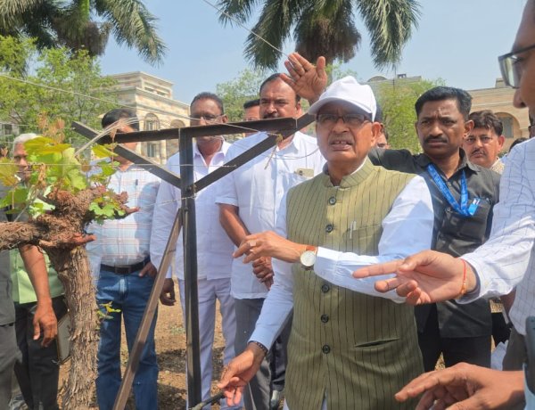 राष्ट्रीय अंगूर अनुसंधान केंद्र का औचक निरीक्षण, शिवराज सिंह ने कमियों पर जताई नाराजगी