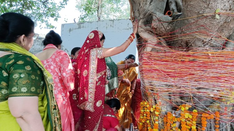 पति के सुदीर्घ जीवन के लिए महिलाओं ने रखा वट सावित्री व्रत