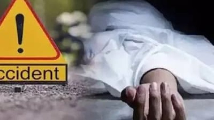 सड़क हादसे में पिता- पुत्र की मौत,महिला घायल