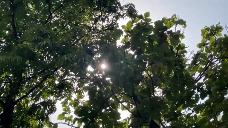 यूपी मौसम अलर्ट: भीषण गर्मी से मिलेगी बड़ी राहत, 100kmph की आंधी और ओलावृष्टि का रेड अलर्ट