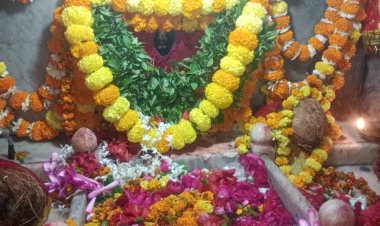 गड़बड़ा धाम में उमड़ी आस्था, 40 हजार श्रद्धालुओं ने किए मां शीतला के दर्शन