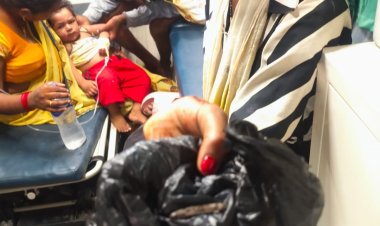 घर के बाहर खेल रहे बच्चे ने सांप को दांतों से काट डाला