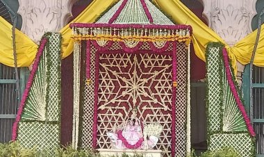 बांकेबिहारी में उमड़ा सैलाब, बगीचे में विराजे ठा. छोटे राधारामनलाल
