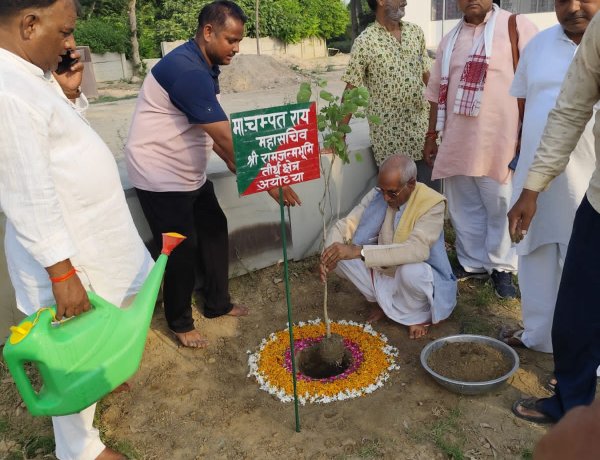 राम मंदिर ट्रस्ट ने कोविदार पौध का किया रोपण