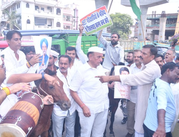 महंगाई और पेपर लीक के खिलाफ कांग्रेस का प्रदर्शन, खच्चरों के साथ जताया विरोध
