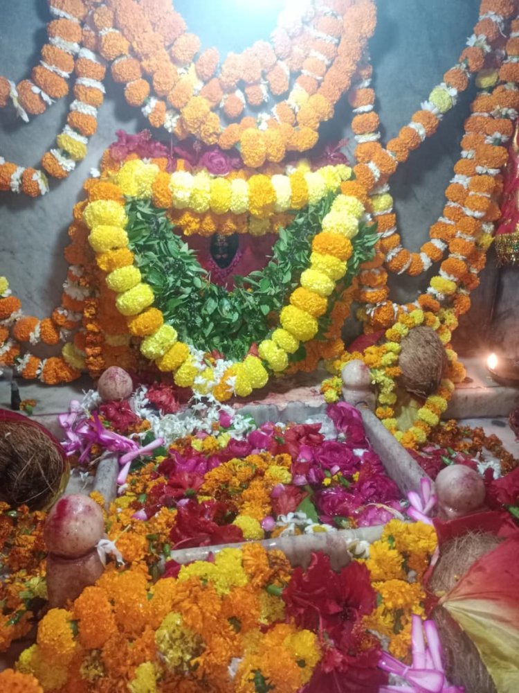 गड़बड़ा धाम में उमड़ी आस्था, 40 हजार श्रद्धालुओं ने किए मां शीतला के दर्शन