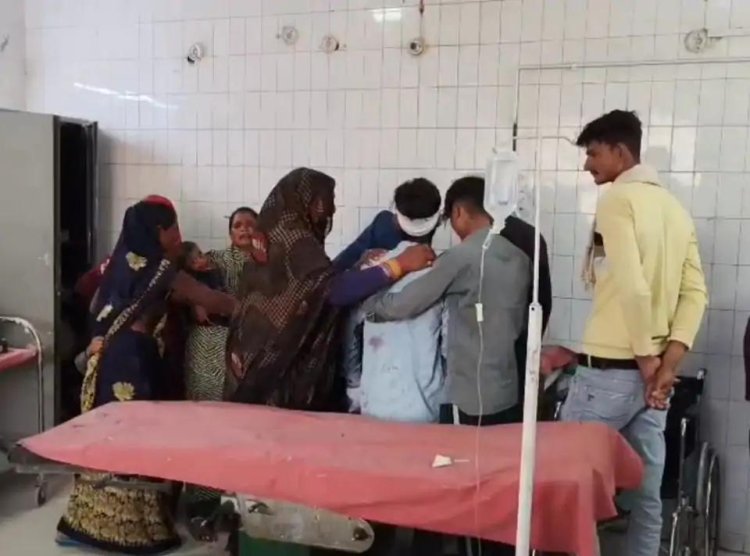 बरगद के पेड़ से टकराया डीसीएम, वाहन में सवार 12 लोग घायल और 20 खच्चरों की मौत