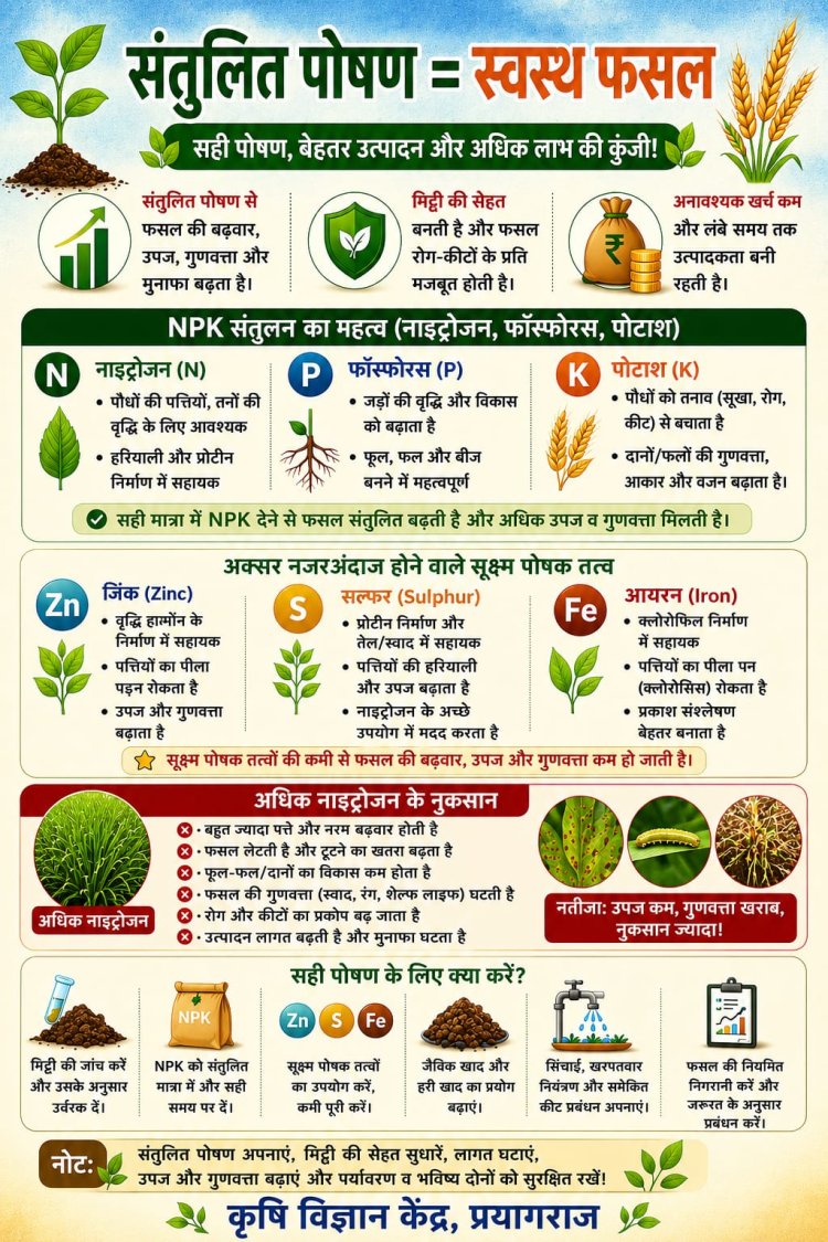 संतुलित पोषण से बढ़ेगी उपज और गुणवत्ता: डॉ सुबोध यादव