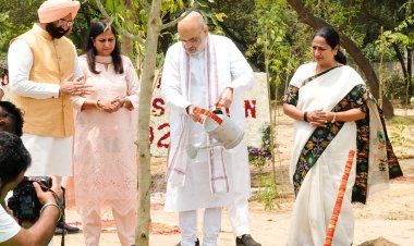पर्यावरण संतुलन के बिना विकास बेमानी, दिल्ली के रिज को फिर से हरा-भरा बनाएंगे: अमित शाह