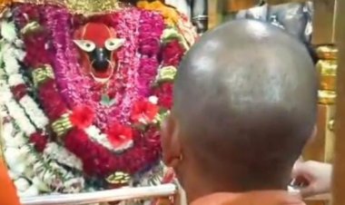 मां विंध्यवासिनी के दरबार में मुख्यमंत्री योगी ने टेका मत्था