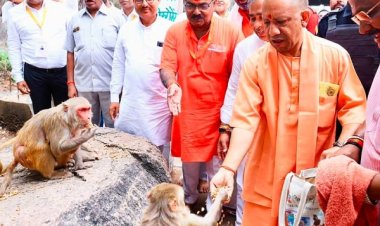 मिर्जामुराद राजपुर गांव के सामने रेलवे ट्रैक पर बकरी चरा रहे भाई-बहन की ट्रेन की चपेट में आने से मौत