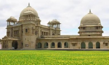 सीएसए में 20 जुलाई से शुरू होगा मशरूम उत्पादन का प्रशिक्षण : डॉ. मुकेश श्रीवास्तव