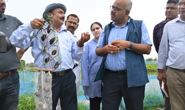 खेत तालाबों में तैयार हो रहे डिजाइनर पर्ल, मत्स्य पालन से भी बढ़ रही किसानों की आय : जिलाधिकारी