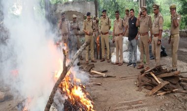 प्रयागराज : ऑपरेशन दहन के तहत 6.41 करोड़ रुपये से अधिक का गांजा विनष्टीकरण