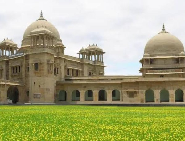 सीएसए में 20 जुलाई से शुरू होगा मशरूम उत्पादन का प्रशिक्षण : डॉ. मुकेश श्रीवास्तव