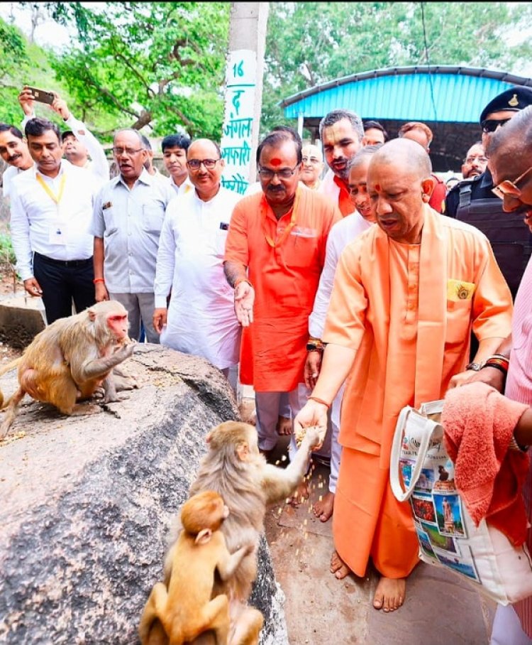 योगी आदित्यनाथ ने की कामदगिरि पर्वत की परिक्रमा, मांगा जनकल्याण का आशीर्वाद