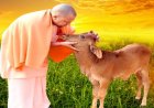 गो संरक्षण में अब जेन जी की एंट्री, गांव-गांव तैयार होंगे 10 हजार ‘गो मित्र'