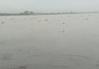 गंगा का जलस्तर चेतावनी स्तर से ऊपर, बैराज से 3.61 लाख क्यूसेक पानी छोड़ा गया