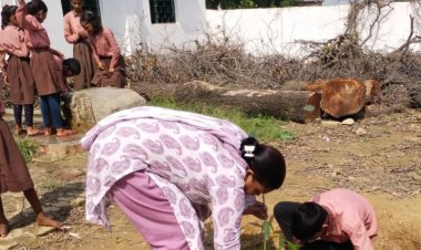 हरियाली का हमारे जीवन में बड़ा महत्व,पौधें लगाने और उसे सुरक्षित रखने की जिम्मेदारी लेनी होगी