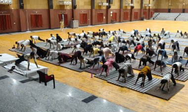 स्टार्टअप और नवाचार से छात्र गढ़ सकते हैं अपना भविष्य : प्रो. पाथर्डीकर