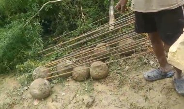 शौचालय की खुदाई में निकले 29 भारी धातु के गोले, पुरातत्व विभाग की जांच से खुलेगा राज