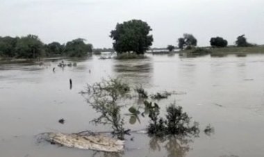उप्र में बारिश और बाढ़ का दोहरा संकट, कई नदियां खतरे के निशान से ऊपर, 40 से अधिक जिलों में ऑरेंज अलर्ट