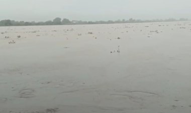 गंगा का जलस्तर चेतावनी स्तर से ऊपर, बैराज से 3.61 लाख क्यूसेक पानी छोड़ा गया