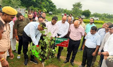 मीरजापुर : ’एक पेड़ मां के नाम’ से संवरा बीएचयू का दक्षिणी परिसर, 8 हजार पौधों से हरियाली का विस्तार