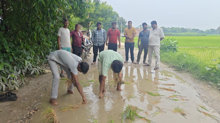 सड़क पर धान रोपकर ग्रामीणों का अनोखा प्रदर्शन, जर्जर सड़क के विरोध में फूटा आक्रोश