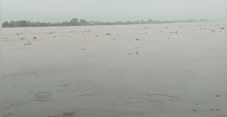 गंगा का जलस्तर चेतावनी स्तर से ऊपर, बैराज से 3.61 लाख क्यूसेक पानी छोड़ा गया